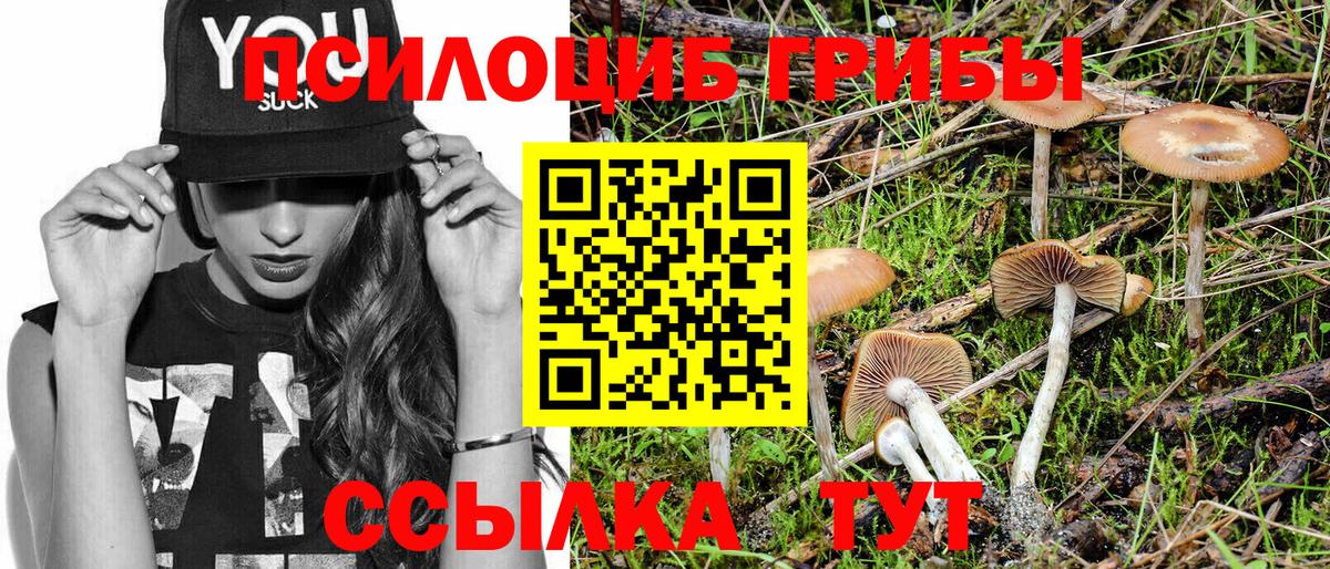 Соликамск  Галлюциногенные грибы Psilocybe  Вход с VPN 